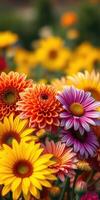 Vibrant flowers in a summer garden showcasing various colors and species during the bright afternoon photo