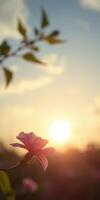 Sunset illuminates a delicate flower in a tranquil field during evening hours photo