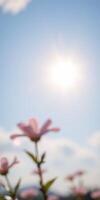 Bright sunlight shining through soft pink flowers in a serene outdoor setting during springtime photo