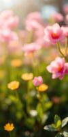 Vibrant garden blooms in soft sunlight create a serene atmosphere during springtime photo