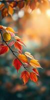 Bright autumn leaves display vibrant colors on a branch during golden hour in a tranquil forest setting photo