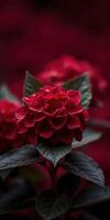 Vibrant red ornamental flowers bloom gracefully in a soft focus, adding beauty to the garden in early spring sunlight photo