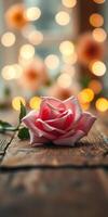 Beautiful pink rose with soft bokeh lights in the background, creating a serene atmosphere photo