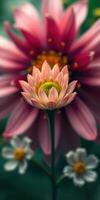 Beautiful close-up of pink flowers blooming in a vibrant garden during springtime photo
