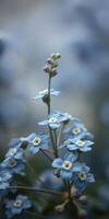Delicate blue flowers bloom in a peaceful garden setting during a sunny afternoon photo