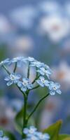 Delicate blue flowers bloom in a serene garden, surrounded by soft hues of nature during springtime photo