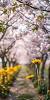 Spring blossoms and vibrant flowers create a stunning path in a blooming orchard during a sunny afternoon photo