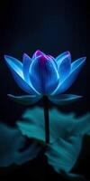 Vivid blue lotus flower blooms gracefully under soft ethereal lighting amidst dark surroundings photo