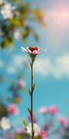 Blooming flower against a bright blue sky with soft sunlight and surrounding colorful blossoms captured during springtime photo