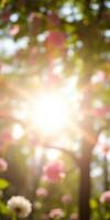 Sunlight filtering through blossoms in a vibrant spring garden during a sunny afternoon photo