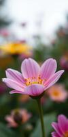 Beautiful pink flower blooming against a blurred colorful garden backdrop during a sunny day photo