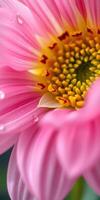 Vibrant pink flower displays intricate details with yellow center in natural light photo