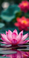 Pink lotus flower blossoms in serene pond surrounded by vibrant greenery and soft petals during a sunny day photo