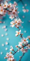 Delicate cherry blossom branch with pink flowers against a vibrant blue background in springtime bloom photo