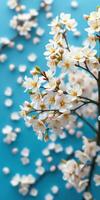 Cherry blossom branch with delicate white flowers against a vibrant blue background, adding a fresh and lively touch to any decor photo