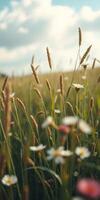 Golden wheat and wildflowers sway gently under a bright sky in a serene meadow on a sunny afternoon photo