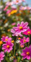 Colorful garden blooms display vibrant flowers during sunny spring day in park photo