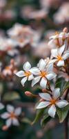 Beautiful white flowers blooming in a garden during springtime with soft bokeh background photo