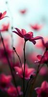 Vibrant pink flowers bloom prominently in a lush garden during a sunny afternoon photo