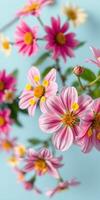 Vibrant pink flowers blooming against a soft blue background capturing the essence of springtime beauty photo