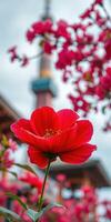 Bright red flowers bloom in front of a tower under a cloudy sky in a vibrant urban garden photo
