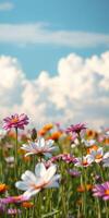 Colorful wildflower field blossoms under a bright sky with fluffy clouds during a sunny day photo