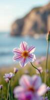 Colorful flower blooms by the shoreline at sunset with soft ocean waves in the background photo