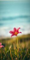 Vibrant pink flower stands tall against a coastal backdrop on a sunny day near the ocean photo