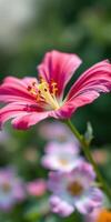 Vibrant pink flower in a lush garden surrounded by colorful blossoms on a sunny day photo