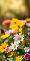 Colorful spring flowers bloom in a garden with vibrant petals in various shades under soft sunlight photo