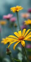 Beautiful yellow daisy stands out among colorful flowers in a vibrant garden under soft daylight photo