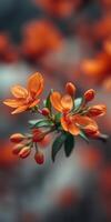 Vibrant orange flowers bloom among soft blurred background in a serene garden setting photo