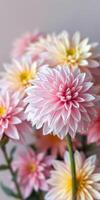 Beautiful arrangement of pink and yellow flowers in a soft light setting showcasing intricate petal details photo