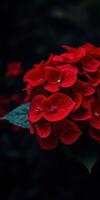 Bright red flowers bloom vibrantly against a dark background in a garden setting photo