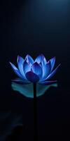Beautiful blue lotus flower illuminated against a dark background showcasing intricate petal details photo