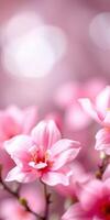 Beautiful pink flowers bloom in a soft background during springtime, capturing the essence of nature's elegance photo