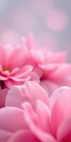 Soft pink flowers create a serene atmosphere with delicate petals reflecting gentle light during springtime photo