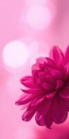 Bright pink flower blooming softly against a blurred pink background in a serene setting photo