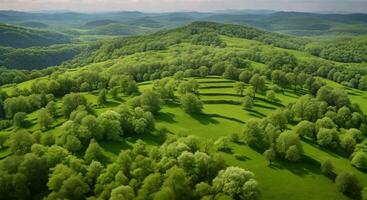 Aerial view of dense green forest with rays of sunlight breaking through the canopy in summer. video