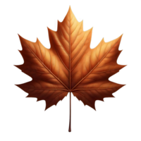 Bold and symmetrical, this leaf features rich fall tones, making it a standout representation of the season. png