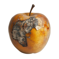 Aged and Decayed Apple with Moldy Patches and Rough Texture on Transparent Background png
