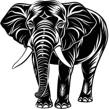 an elephant is standing in front of a white background vector