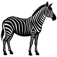 zebra silhouette on white background vector
