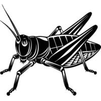 a black and white illustration of a grasshopper vector