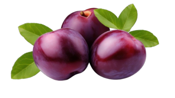 Collection of . Plum, isolated on a transparency background. png