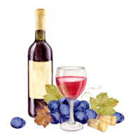 Watercolor red wine bottle with old paper label. Hand drawn clipart of alcoholic drink for party and event. Illustration for tasting, menu, cafe, bar, posters and wine list design. png