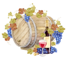 Grapevine with blue berries and oak barrel. Watercolor bottle of red wine with old paper label and glass of red wine. Illustration for tasting, menu, cafe, bar, posters and wine list design. png