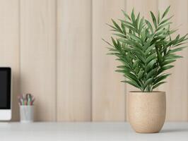 Potted plant in modern office setting photo