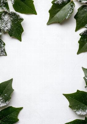 green leaves with snow frame