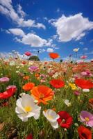 Vibrant wildflower meadow under blue sky photo